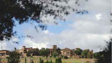 Florida Premarital Preparation Course, Orange County, Florida, Bella Collina Wedding